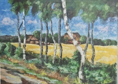 Dieter-Meyer 1687173722047-58e5f12e-cfe0-4ddf-ac67-a7b3d59e69c9-landscape web